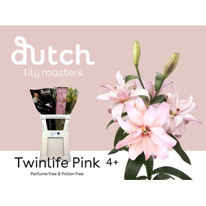 LI LA TWINLIFE PINK 4+