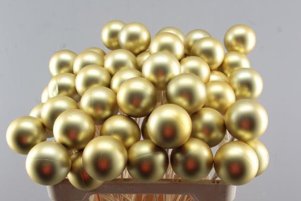 <h4>Droog X-mas Ball Goud (matt)</h4>