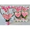 Phal ** Paint ** Pink Heart 16+