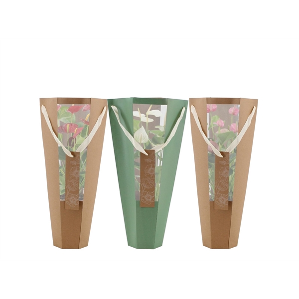 <h4>Anthurium 3 color mix in Lola bag</h4>