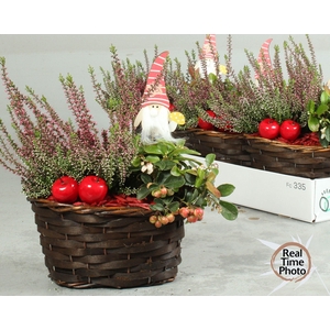ARR TUINPLANTEN