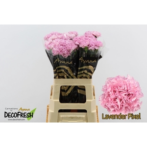 Di St Lavender Pixel