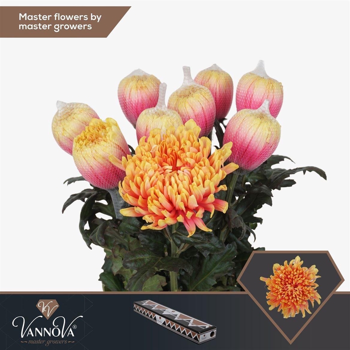 <h4>Painted Chr G Antonov Sunset</h4>