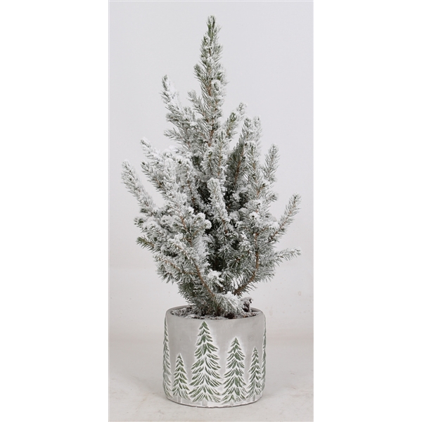 <h4>Picea Glauca "Conica" besneeuwd in kerst betonpot</h4>