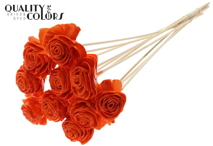 Shola Beauty Rose 6cm on stem Wax Orange