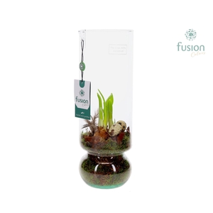 Green BottleAngelica Large met Pasen arrangement