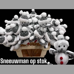 .DIV SNEEUWMAN OP STOK