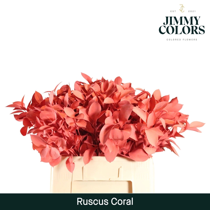 <h4>Ruscus L60 Coral</h4>