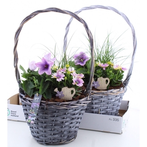 ARR TUINPLANTEN