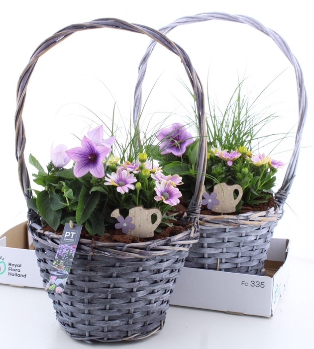 <h4>ARR TUINPLANTEN</h4>