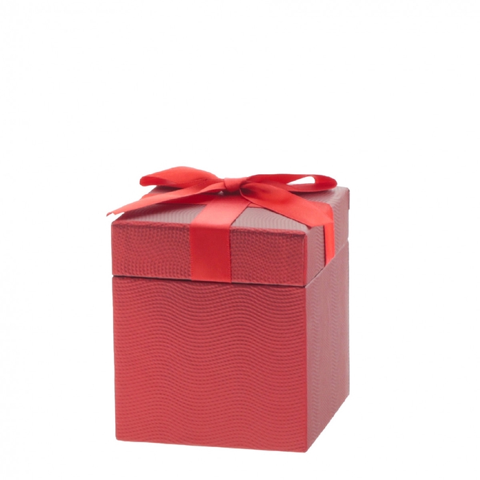 Valentijn Gift box Gina 9.3*10cm