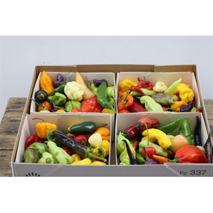 Sier Cucumis Aubergine Capsicum Mix X4