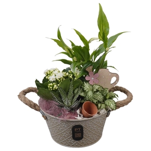 Arr.    Planten  L%