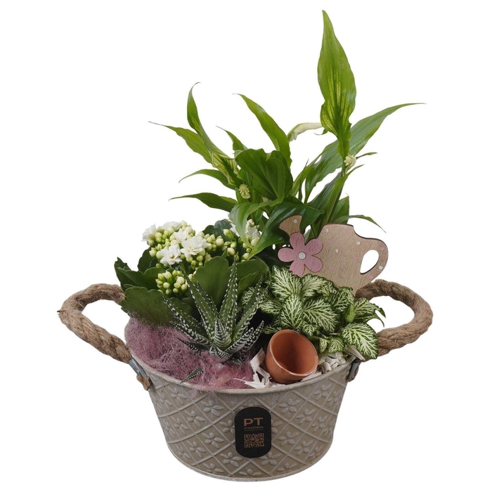 <h4>Arr.    Planten  L%</h4>