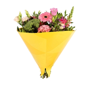 Hoes 35x35cm Angelo 45gr wit kraft Triangle geel 500/doos