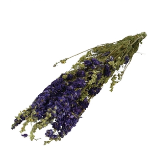 Dried flowers Delphinium 65-70cm x10