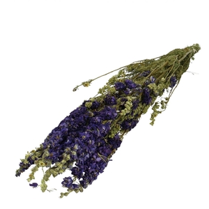 Droogbloem Delphinium 65-70cm x10