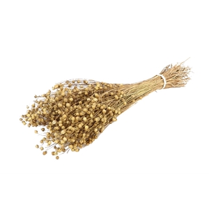 DRY FLAX GRASS GOUD