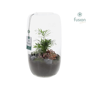 Green BottleIsabella XXLarge met arrangement