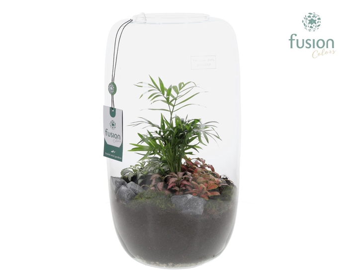 <h4>Green BottleIsabella XXLarge met arrangement</h4>