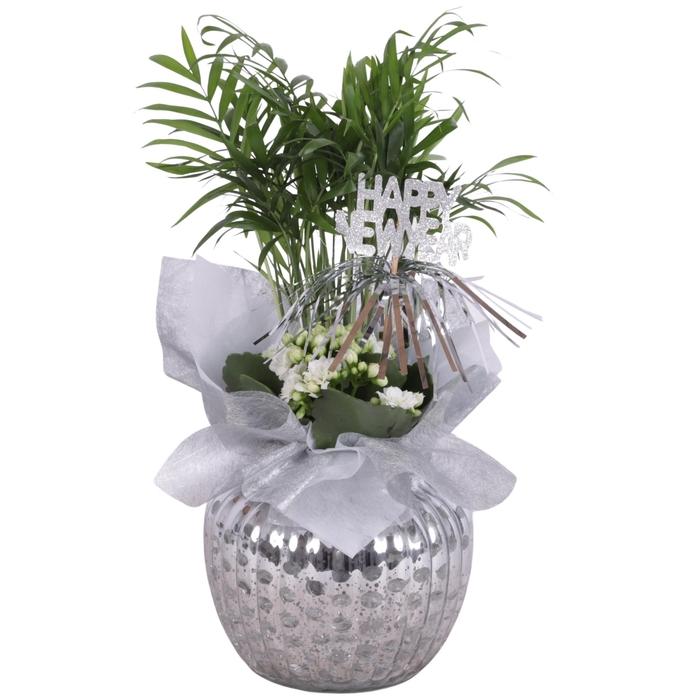 <h4>New Year Arr. Indoor Glass Round Relief Silver Ø15cm 2PP</h4>