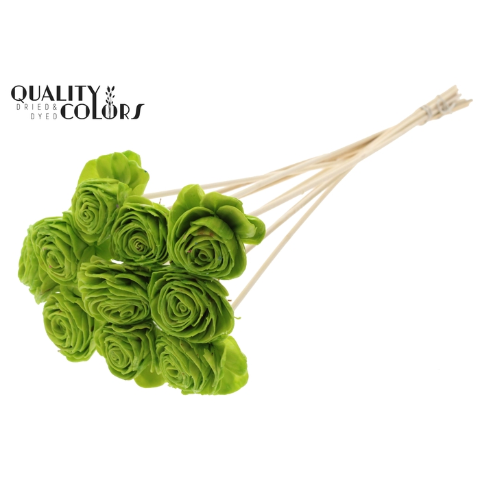 <h4>Shola Beauty Rose 6cm on stem Wax Light Green</h4>