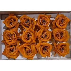 Ro Pres Mini Orange Lime