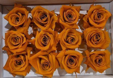 <h4>Ro Pres Mini Orange Lime</h4>