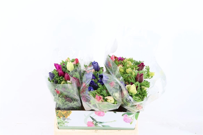 <h4>Anem Co Jerusal Mix</h4>