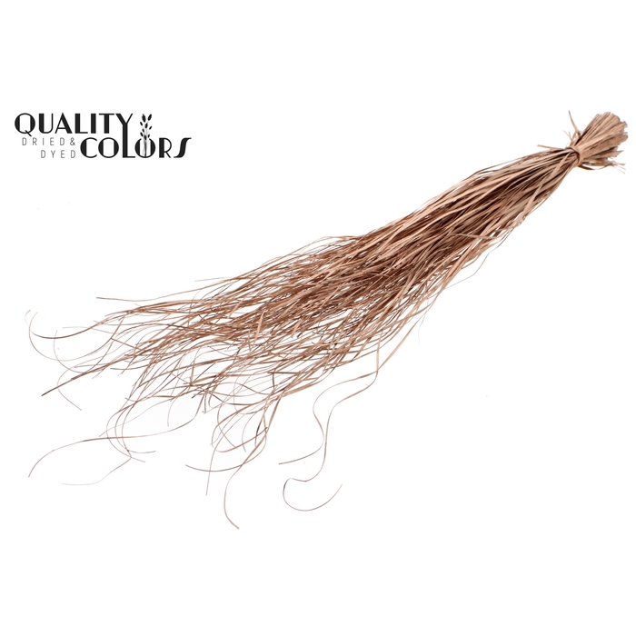 <h4>Beargrass dried per bunch Copper</h4>