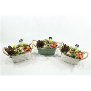 1107 ZINK OVAAL GR-W HYAC