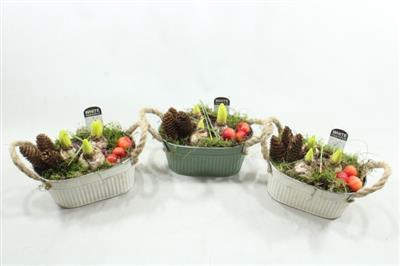 <h4>1107 ZINK OVAAL GR-W HYAC</h4>