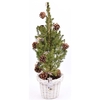 Wilg bloempot wit 18cm