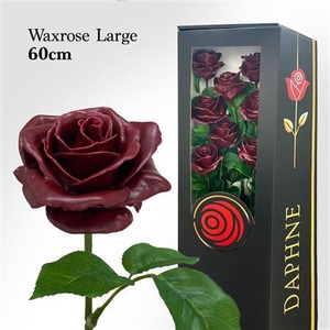 Wax Rose L Bordeaux 60cm
