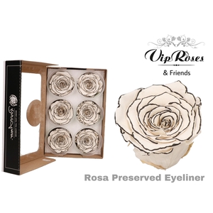 R Preserved Eyeliner