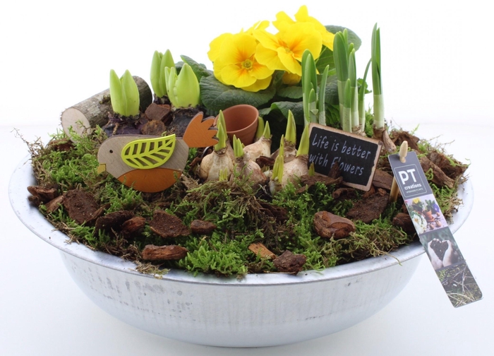 <h4>ARR PL IN SCHAAL</h4>