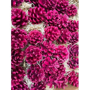 Dennenappel Wax Cerise