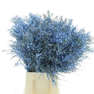 Ginster Blue P Bunch 400gram