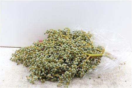 <h4>DADELS PHX PER KILO</h4>