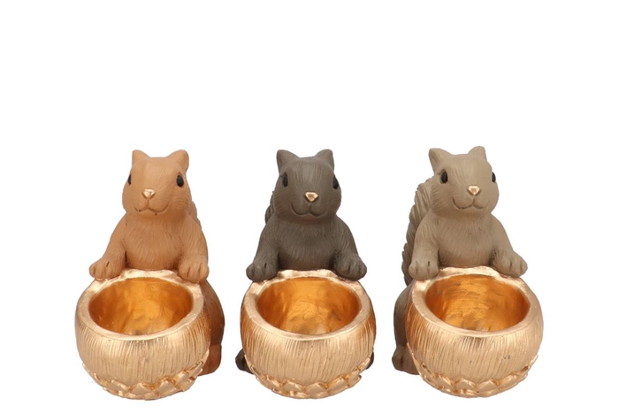 <h4>Jingle Woods Brown Mix Squirrel Sitting Ass 22x12x18cm</h4>