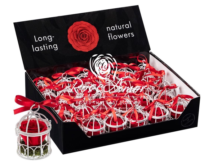 Display Bird Cage Red02