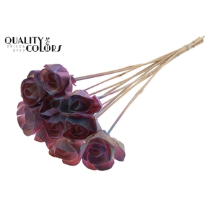 Shola Dear Holly 6cm on stem Gradient Pink