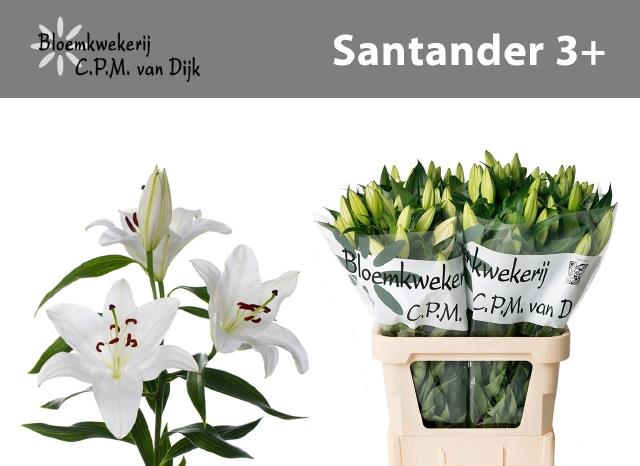 LI OR SANTANDER