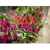Tulpes Pilnavidures Mix LT
