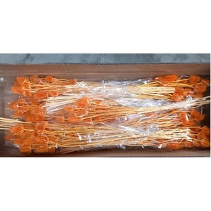 Df Dipsacus Li.orange Bs 130g