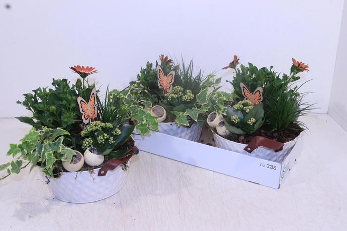 <h4>ARR TUINPLANTEN</h4>