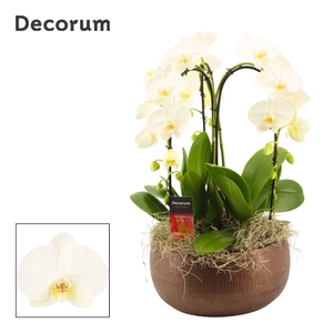 Terra cascade 3 tak symphony white(Deco-collection)