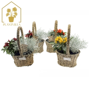 ARR TUINPLANTEN