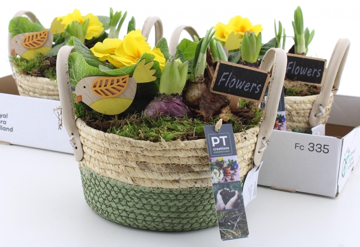 <h4>ARR PL IN SCHAAL</h4>