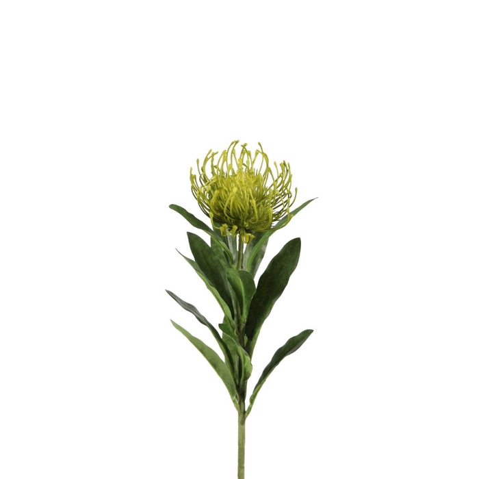 <h4>Artificial flowers Leucospermum 66cm</h4>